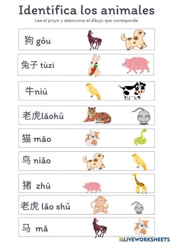 动物 - chinese animals