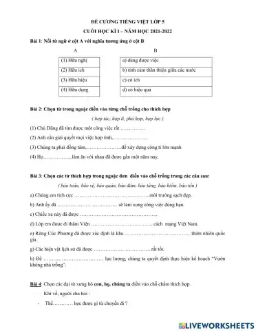 Đề cương ôn tập cuối học kì I Tiếng Việt