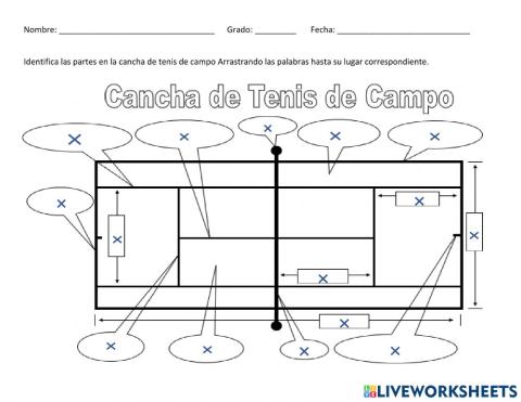 Identifica las areas de la cancha de tenis de campo