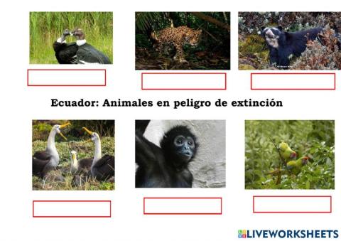 Ecuador: Animales en peligro de extinción