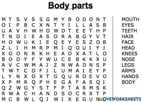 Body Parts Word Search Y2