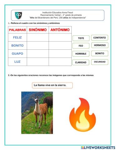 Examen de razonamiento verbal