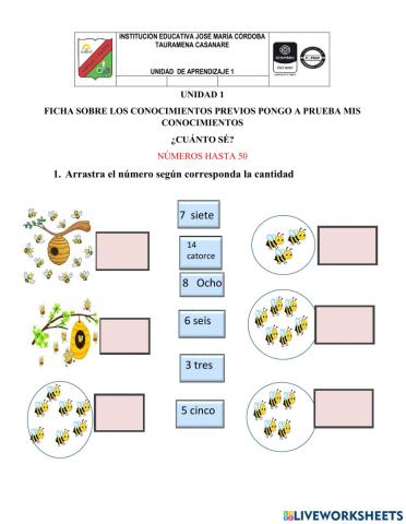 Saberes previos -Números