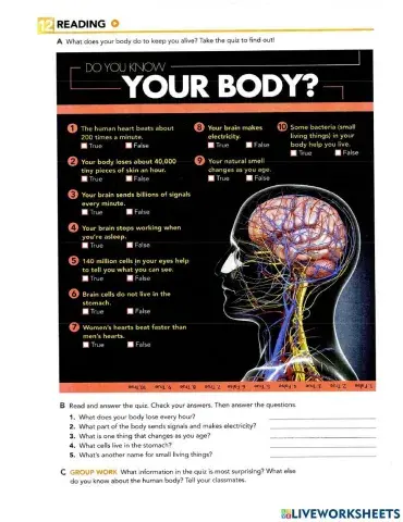 Interchange 0 Unit 12 Student's 12