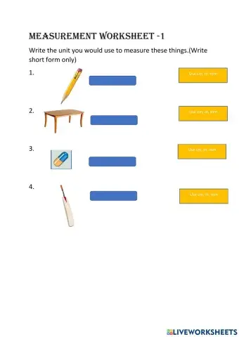 Measurment Worksheet