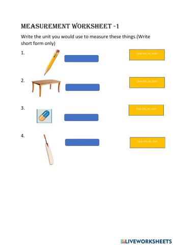 Measurment Worksheet