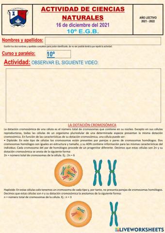 La dotación cromosómica