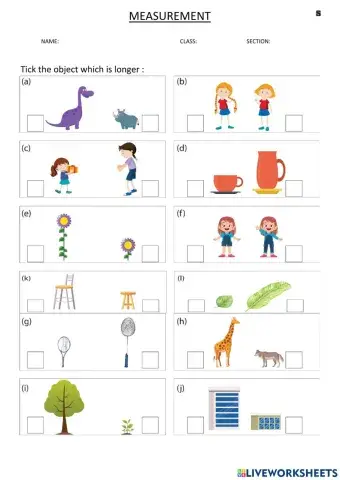 Measurement(Longer and Shorter)