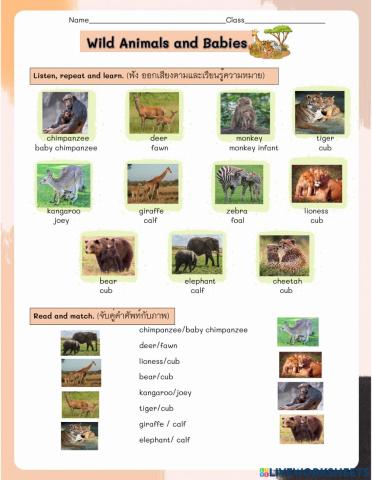Wild Animals and Babies