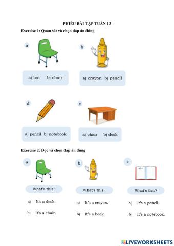 Phiếu bài tập tuần 13