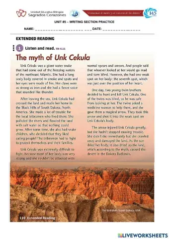 Extended Reading Section