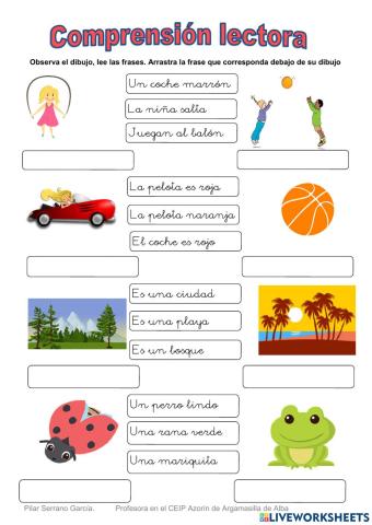 Comprensión lectora