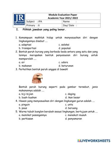 1st final Semester IPA P6