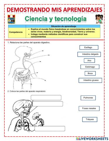 Ciencia y tecnologia