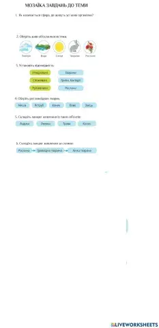 Мозаїка запитань до теми