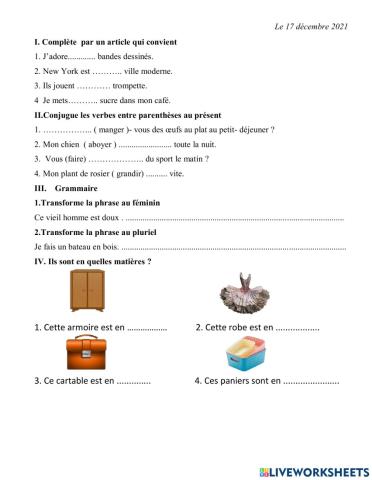 Connaissances de langue