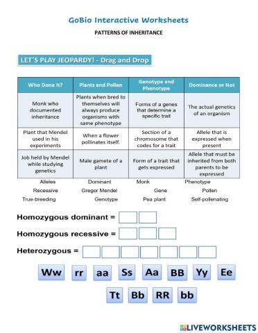 GoBio Patterns of Inheritance