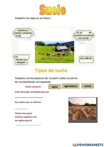 Tipos de suelo