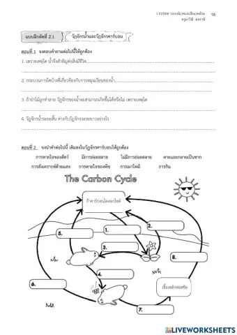 วัฏจักรคาร์บอน