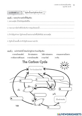 วัฏจักรคาร์บอน