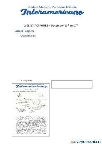 Weelky activities 32