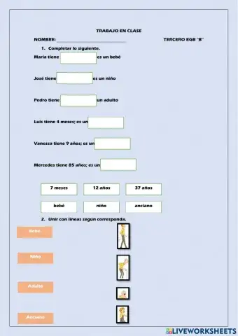 Las etapas y el ciclo de la vida del ser humano