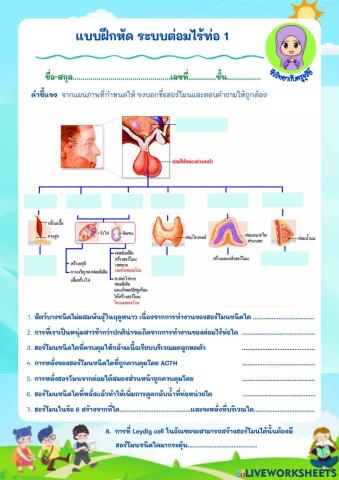 ระบบต่อมไร้ท่อ1