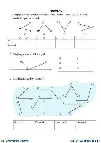 Nurga osad ja liigid