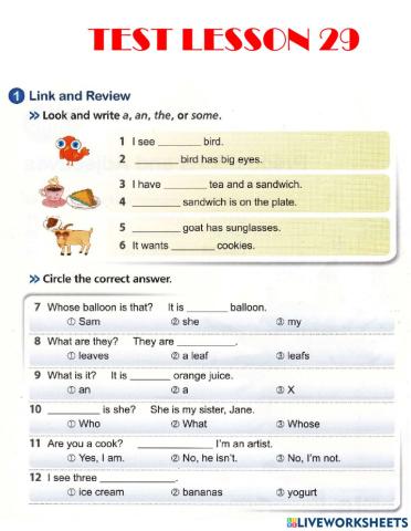 Test Lesson 29