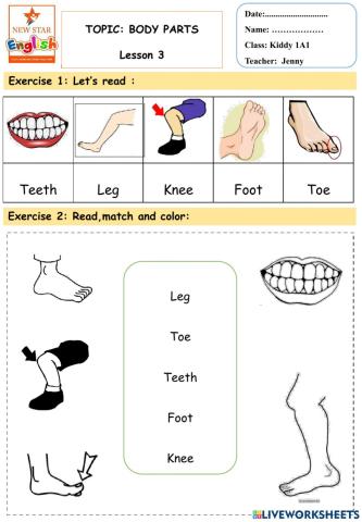 Kiddy 1A1- Body parts- lesson 3