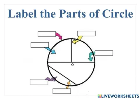 Parts of circle
