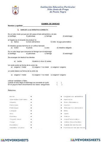 Examen de ciencias