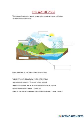 The water cycle.