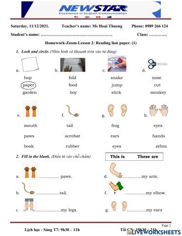 Lesson 2-G1:Reading a paper Lion