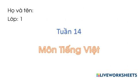 Bài tập tuần 14