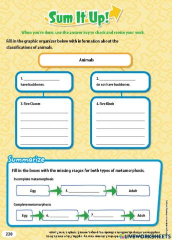 G5 how are animals grow and reproduce