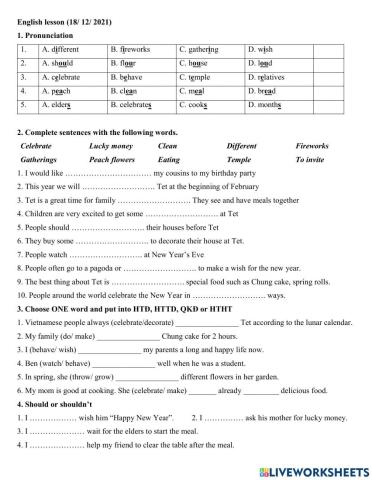 Group 5 - Our Tet holiday