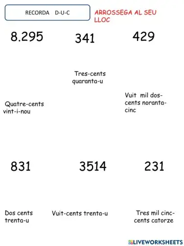 Numeració 3 xifres, rellotge, fraccions