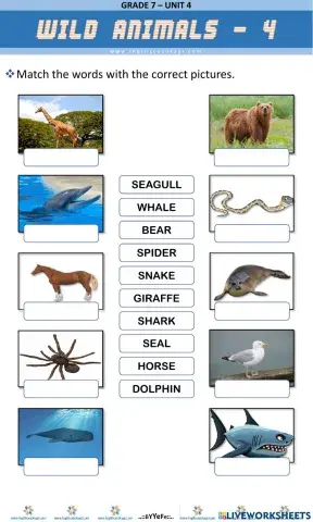Wild Animals Matching - 4