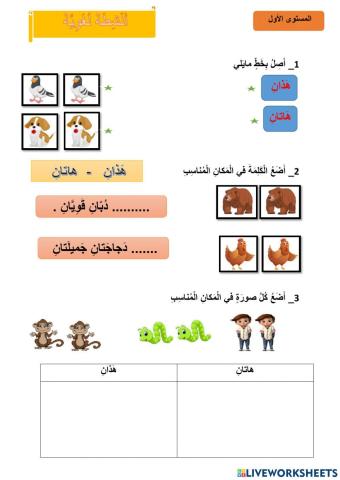 اسم  الاشارة في المثنى