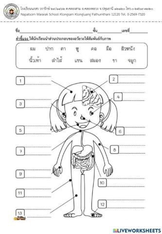 ร่างกายของฉัน