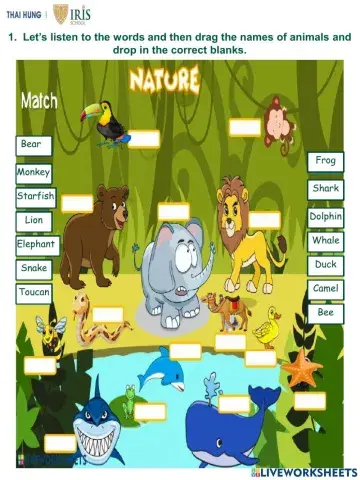 English-Rainbow-In the Jungle 2