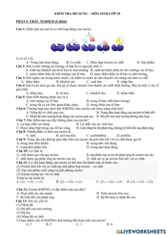 Bài kiểm tra bổ sung sinh học 10