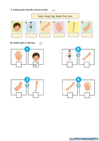Parts of the body and face