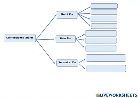Las funciones vitales