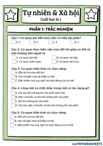 Tự nhiên & Xã hội 3