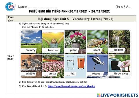 Hướng dẫn học tuần 21