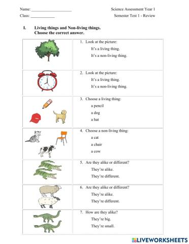 Big Science 1 Semester 1 - REVIEW