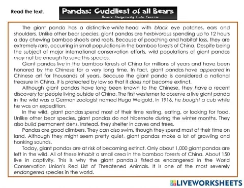 Reading Comprehension on Pandas