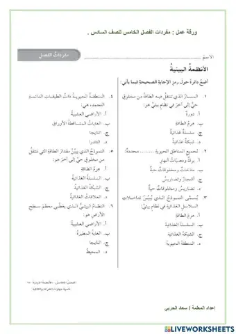 مفردات الفصل